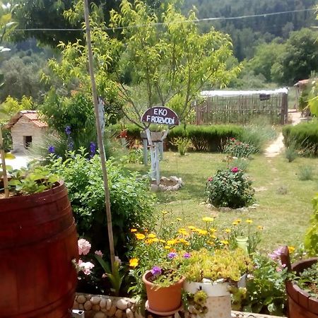 Apartman Rosa Διαμέρισμα Skradin Εξωτερικό φωτογραφία