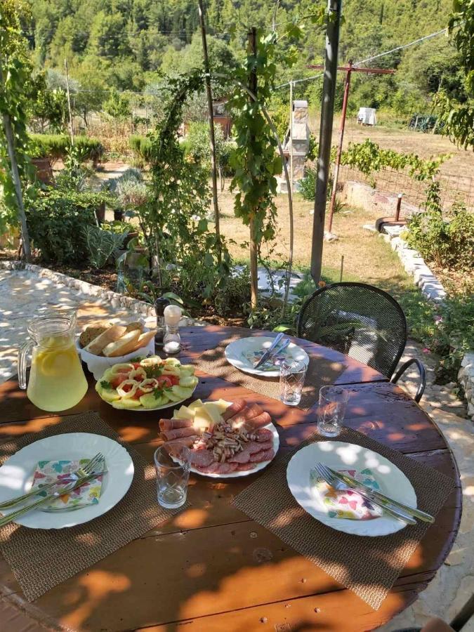 Apartman Rosa Διαμέρισμα Skradin Εξωτερικό φωτογραφία