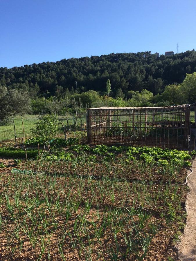 Apartman Rosa Διαμέρισμα Skradin Εξωτερικό φωτογραφία