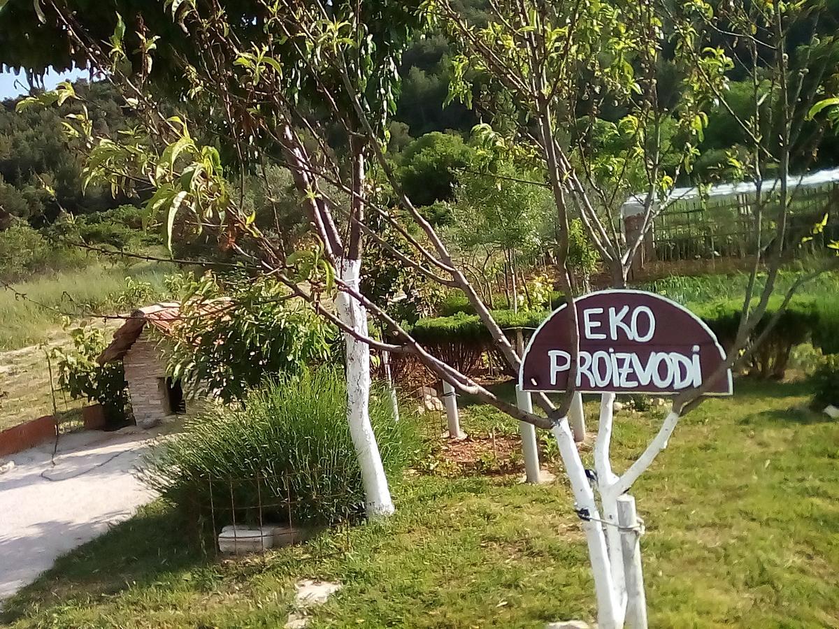 Apartman Rosa Διαμέρισμα Skradin Εξωτερικό φωτογραφία
