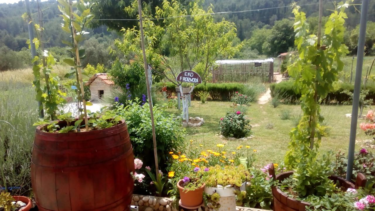 Apartman Rosa Διαμέρισμα Skradin Εξωτερικό φωτογραφία